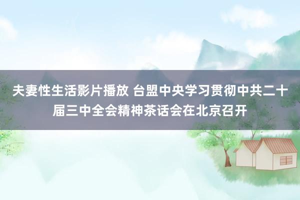 夫妻性生活影片播放 台盟中央学习贯彻中共二十届三中全会精神茶话会在北京召开