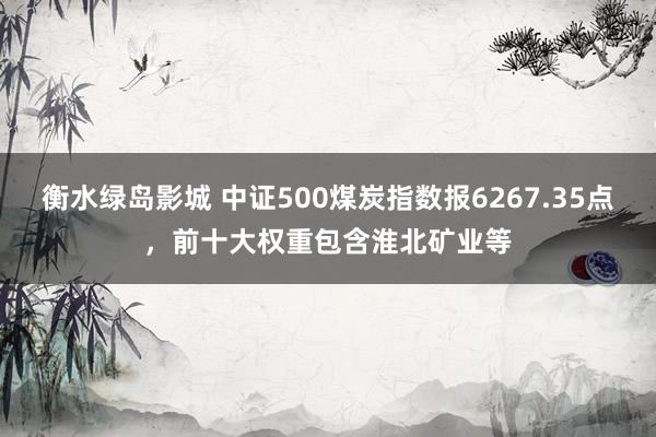 衡水绿岛影城 中证500煤炭指数报6267.35点，前十大权重包含淮北矿业等