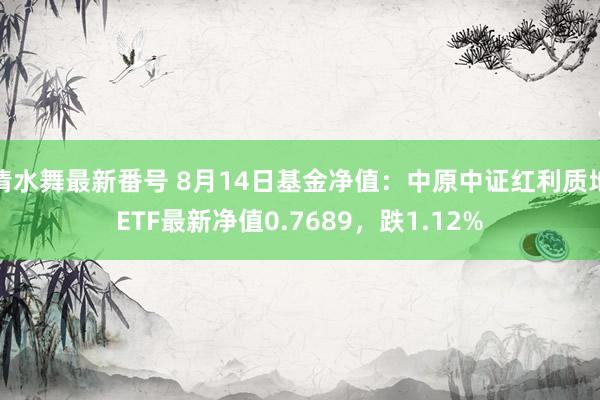 清水舞最新番号 8月14日基金净值：中原中证红利质地ETF最新净值0.7689，跌1.12%