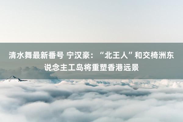 清水舞最新番号 宁汉豪：“北王人”和交椅洲东说念主工岛将重塑香港远景