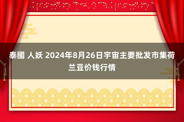 泰國 人妖 2024年8月26日宇宙主要批发市集荷兰豆价钱行情