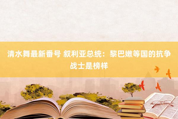 清水舞最新番号 叙利亚总统：黎巴嫩等国的抗争战士是榜样