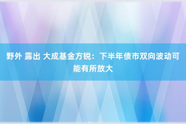 野外 露出 大成基金方锐：下半年债市双向波动可能有所放大